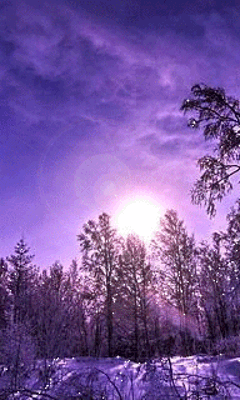 Сиреневый вечер. Рондель