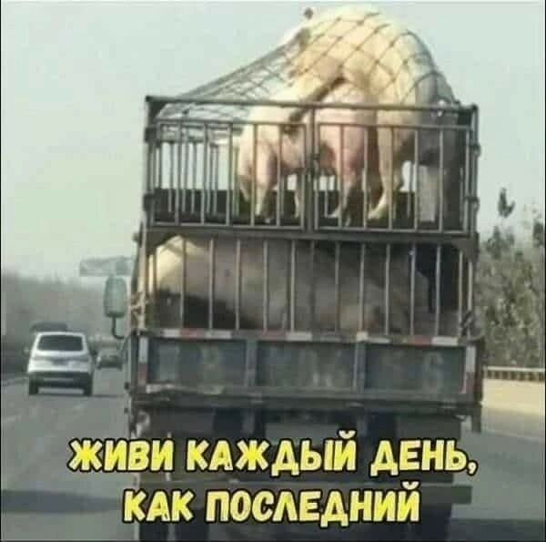 Живи, чтобы больше не хотелось