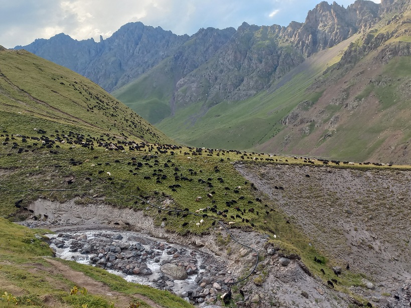 Сирх. глава 4