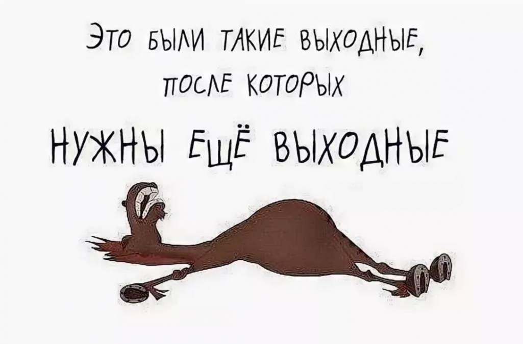 А не знает выходных и праздников. А не знает выходных и праздников