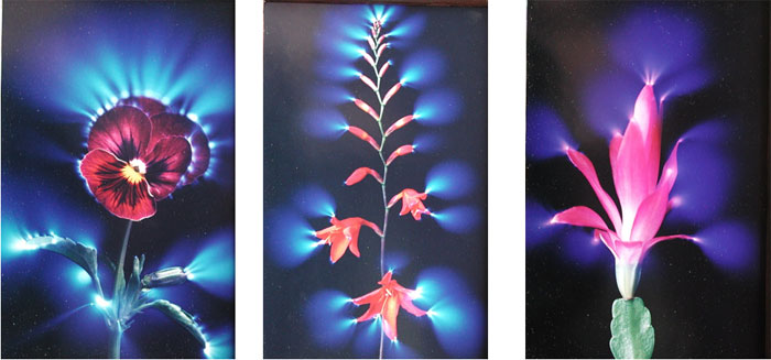 9. 10. Аура. Триолет 7