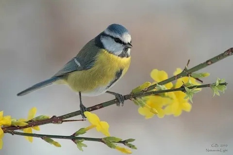 Будет весна