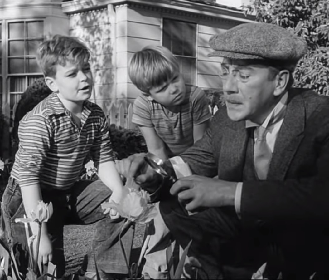 Селекционер сонет