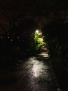 Истина в огне