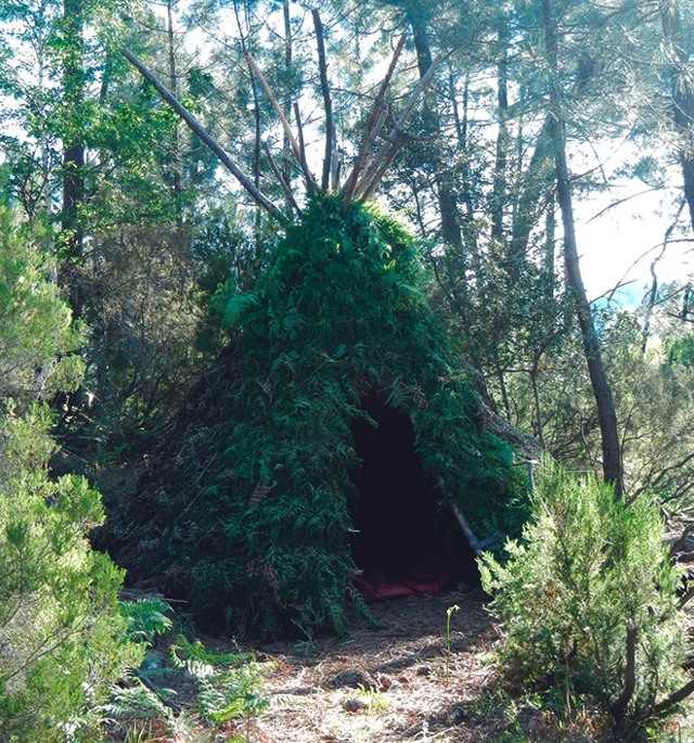 Поэт отшельник