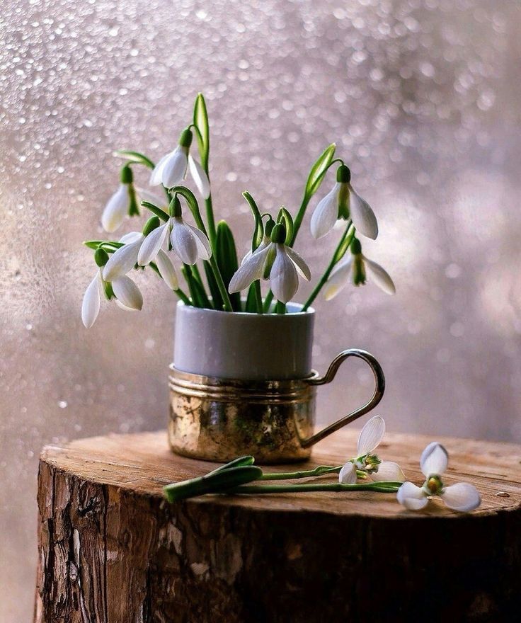 Двадцать восемь шагов...