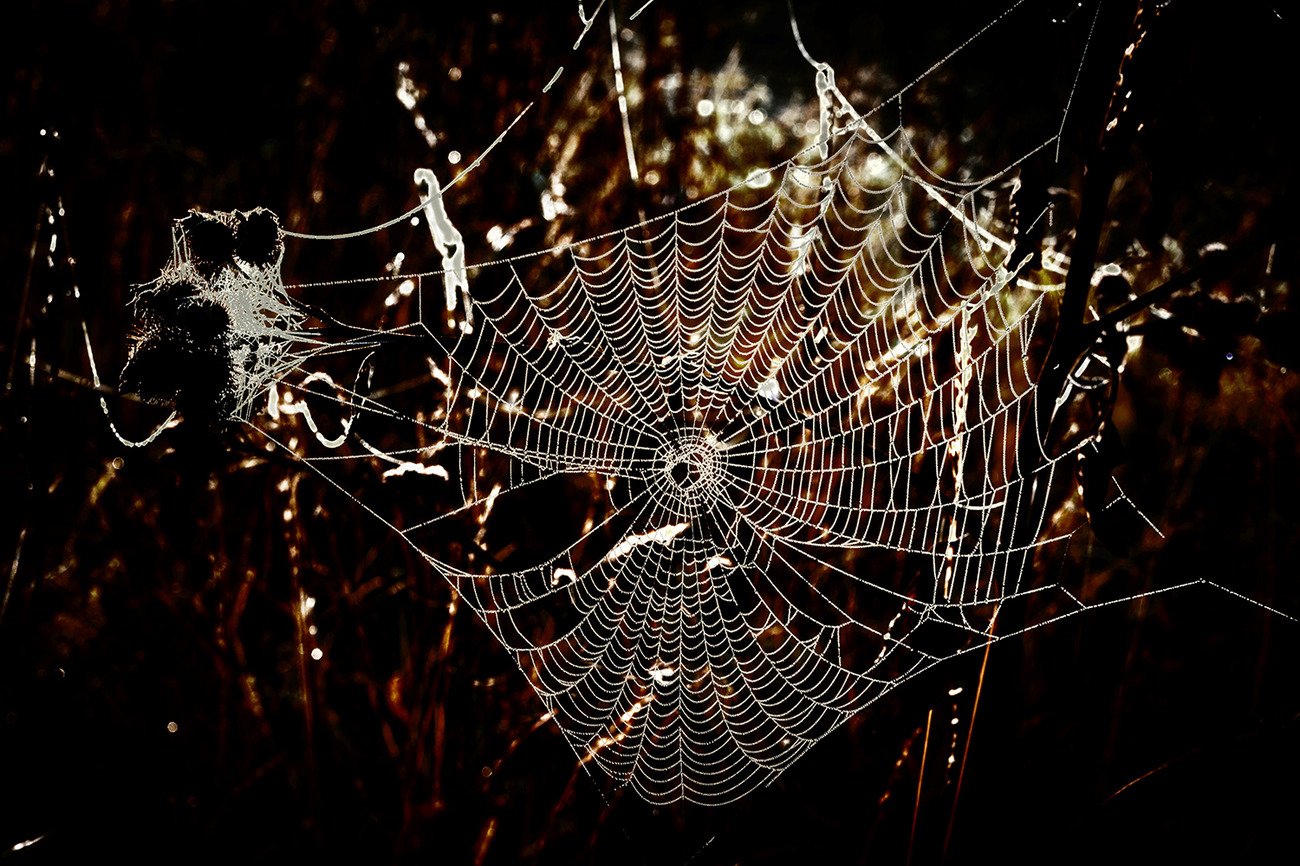 Путешествуя во снах