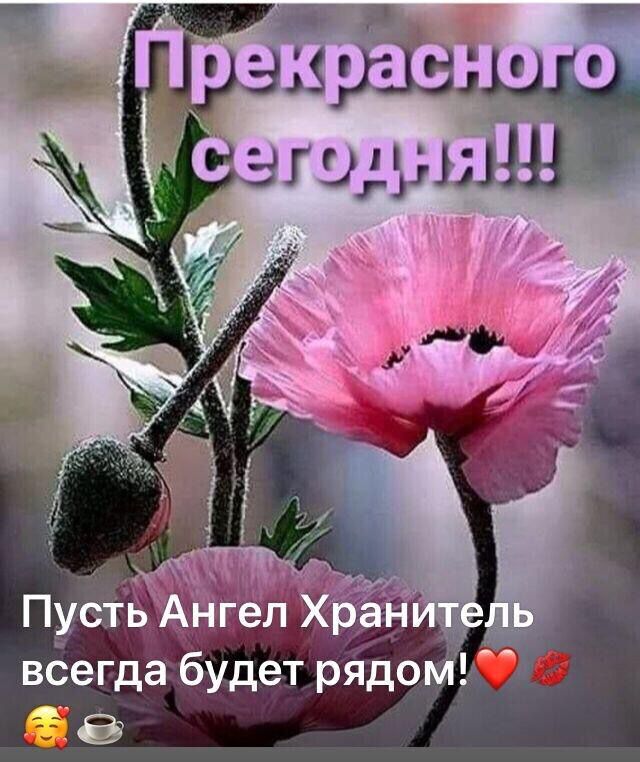 Сутулый месяц