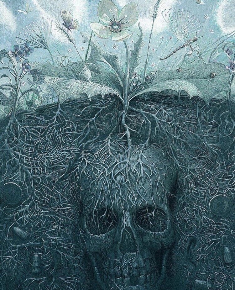 Мечты погибшего фронтовика