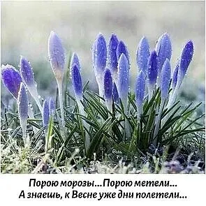 Упадёт листочек января