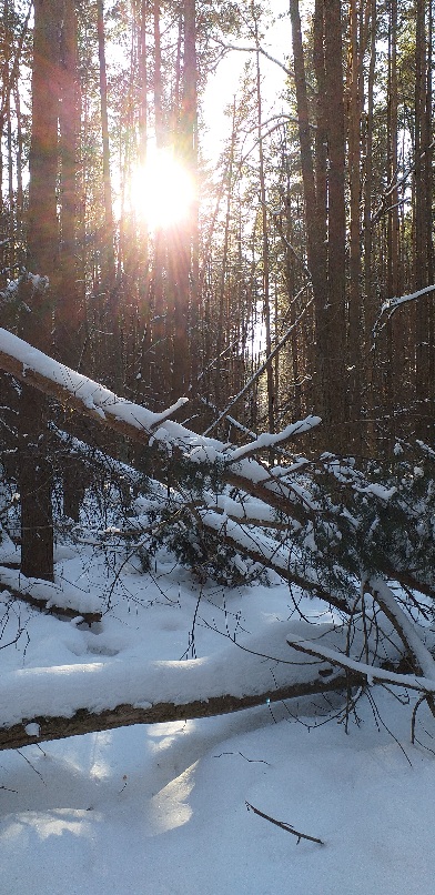 Дураку возможно нипочём