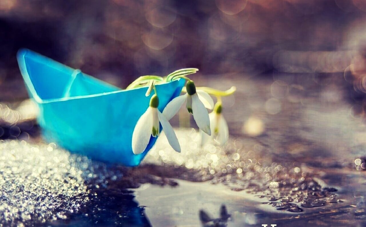 Смешные фото про весну. Советское детство лужи. Лужа в городе. Река весной. Весной поплывем.