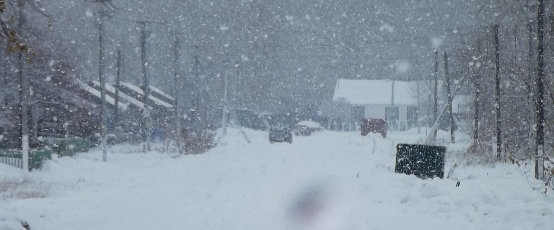 Снежный день