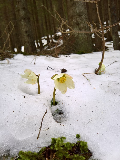 Между будущим и прошлым...