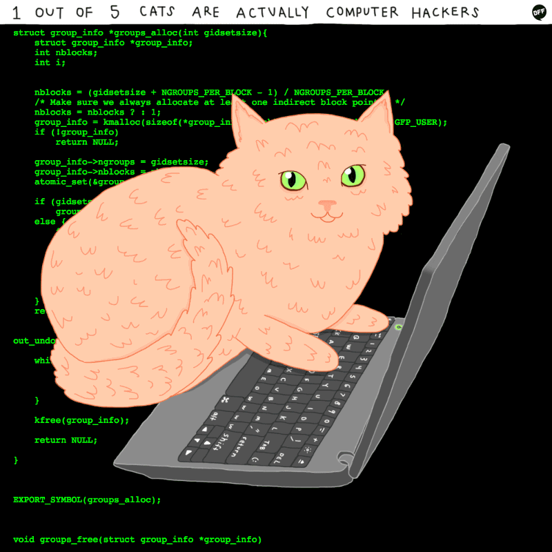 Кот разработчик. Кот хакер. Кот программист. Коты программисты. Кот Компьютерщик.