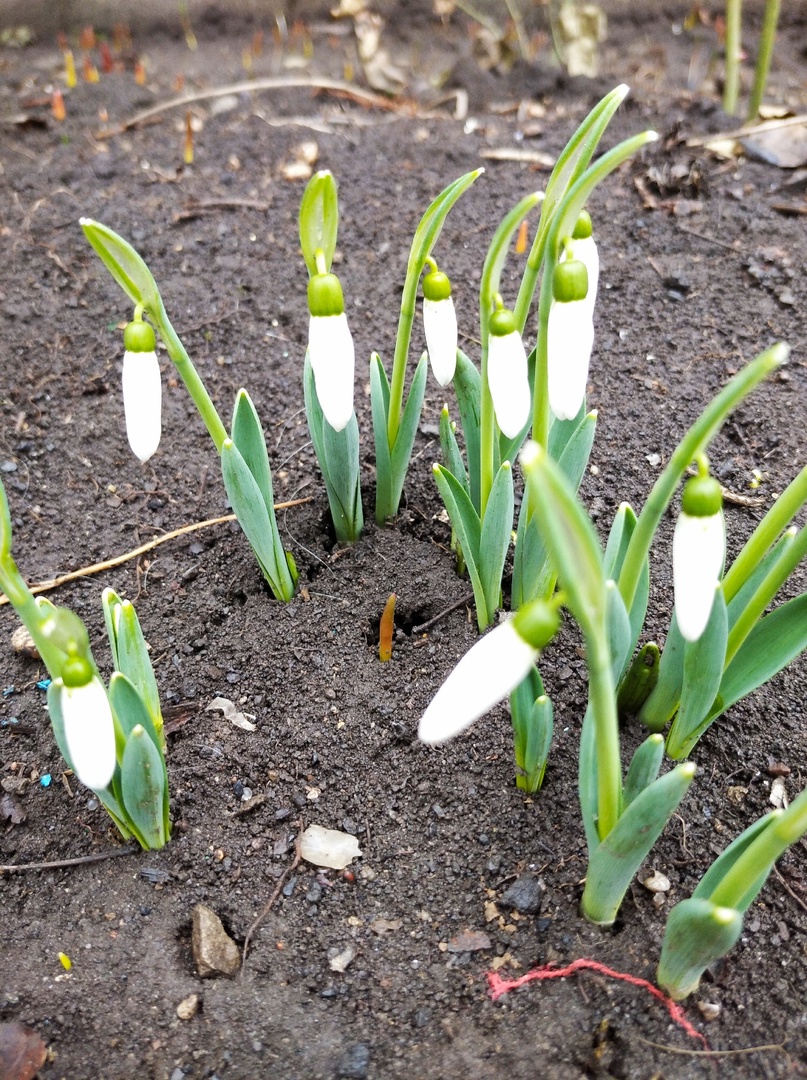 Зиме конец Акро зеркальный