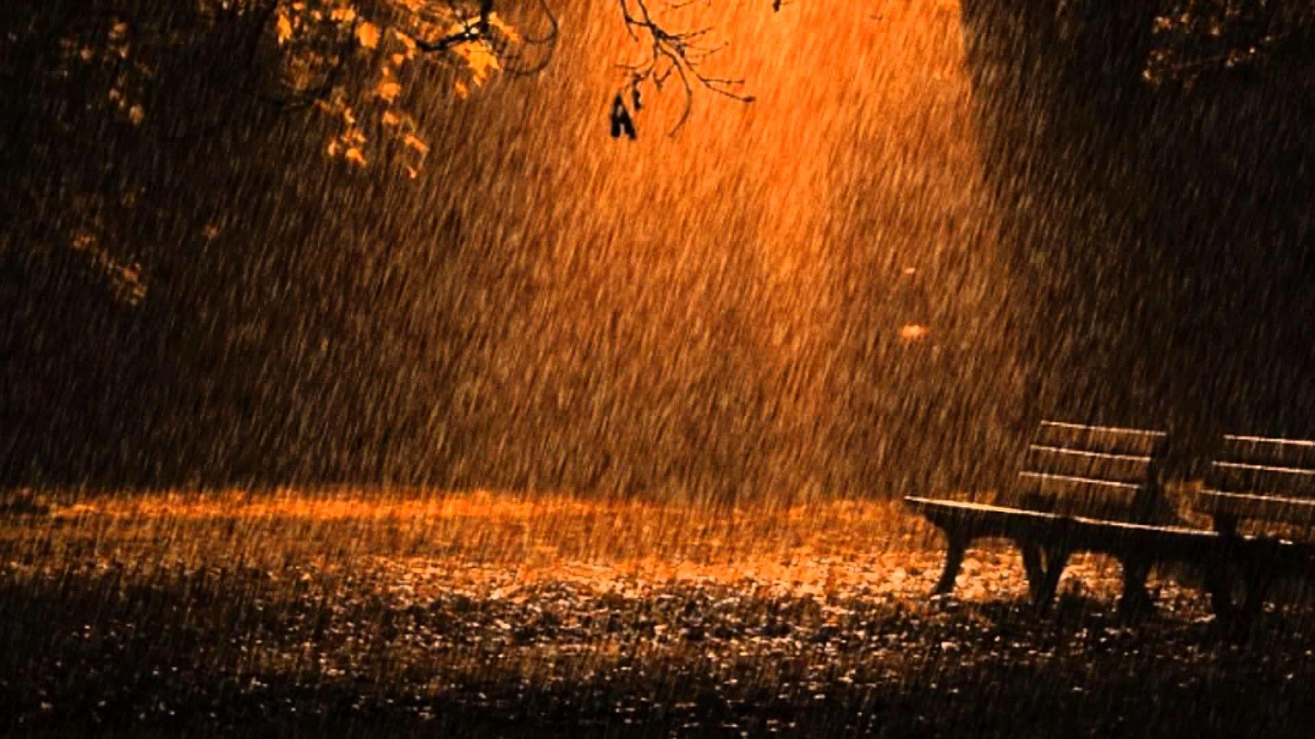 Бывают осенние ночи. Осень ночь дождь. "Дождливый вечер". Скамейка под дождем.
