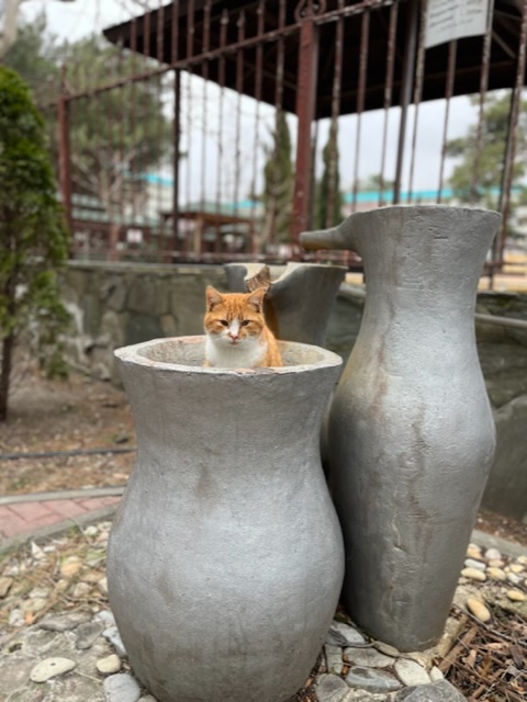 Мечтаю так прожить на свете