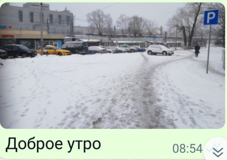 Из рецензий. Первый день Весны!