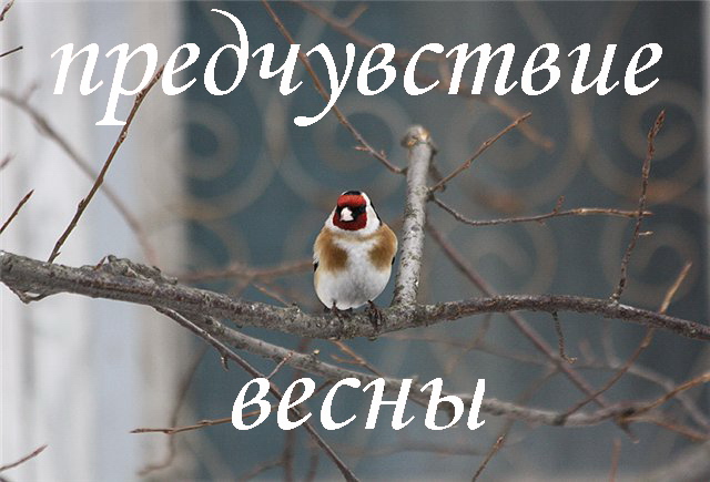 Доброе Утро Скоро Весна