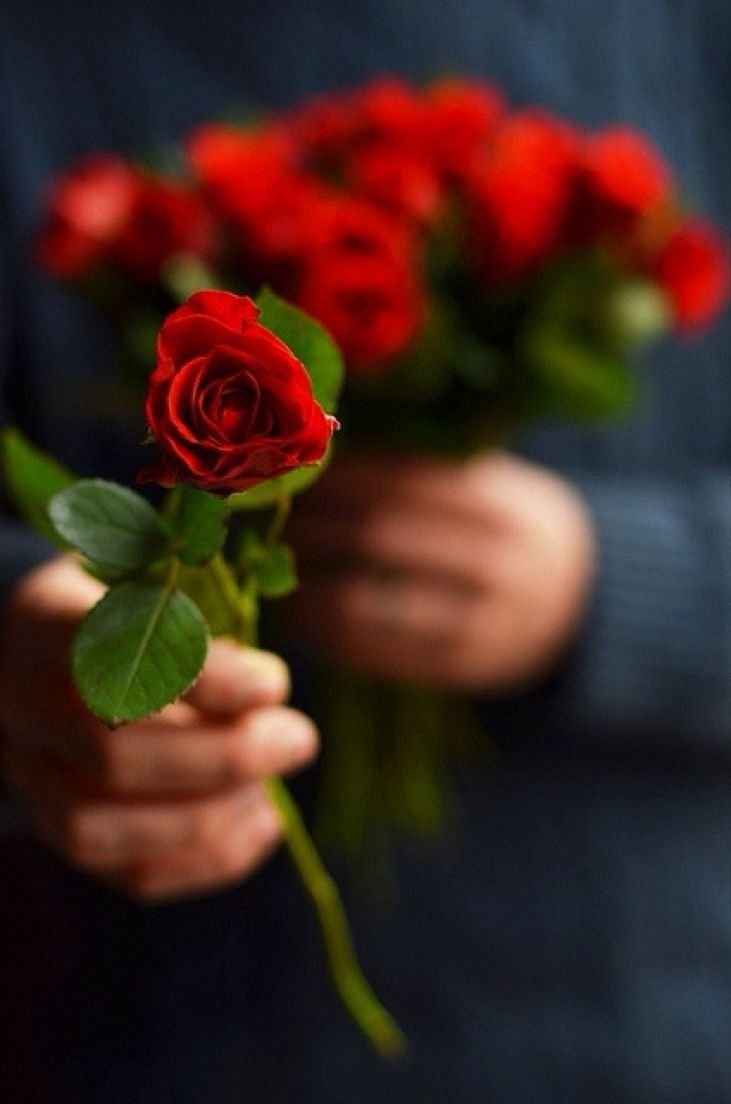 Я дарю тебе