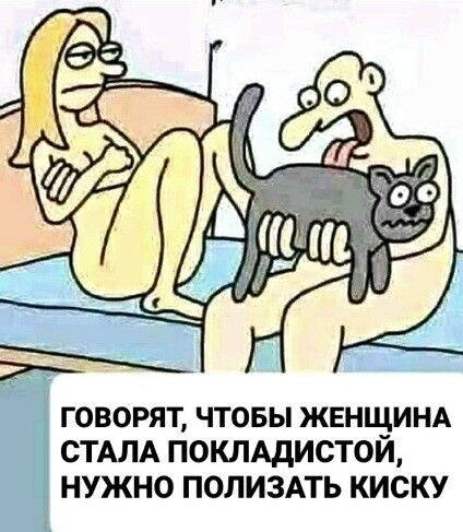 Рыцарь-Незабудка СМХ