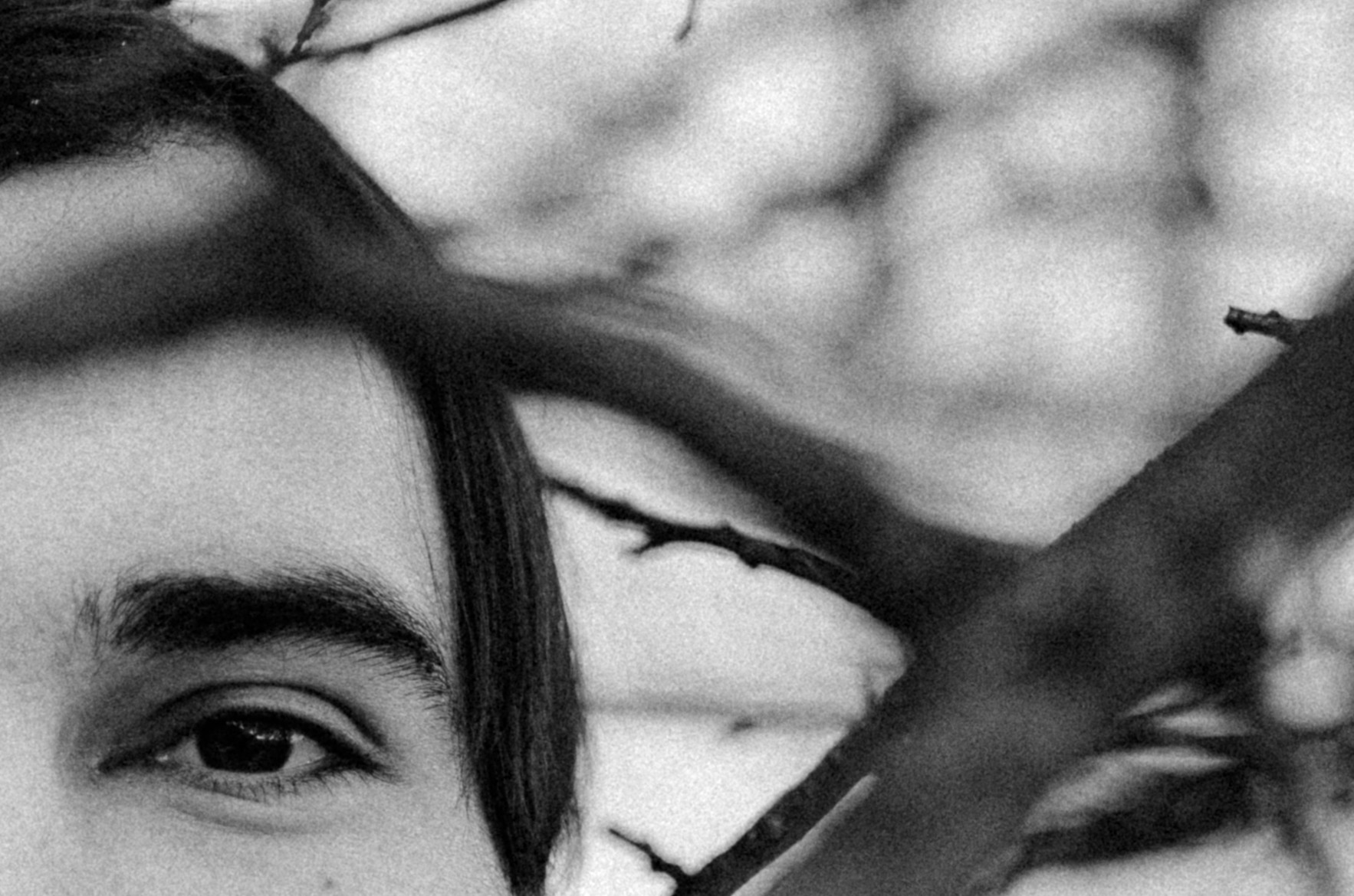 Разговор со Смертью