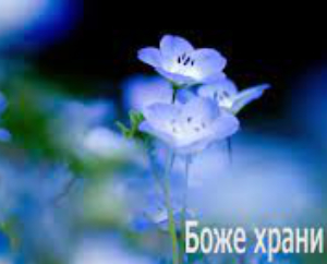 Я делюсь и уже счастлива