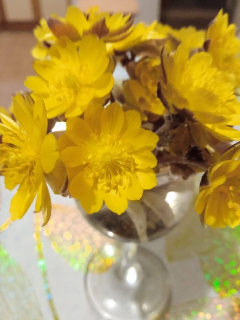 Рассвет коснулся неба