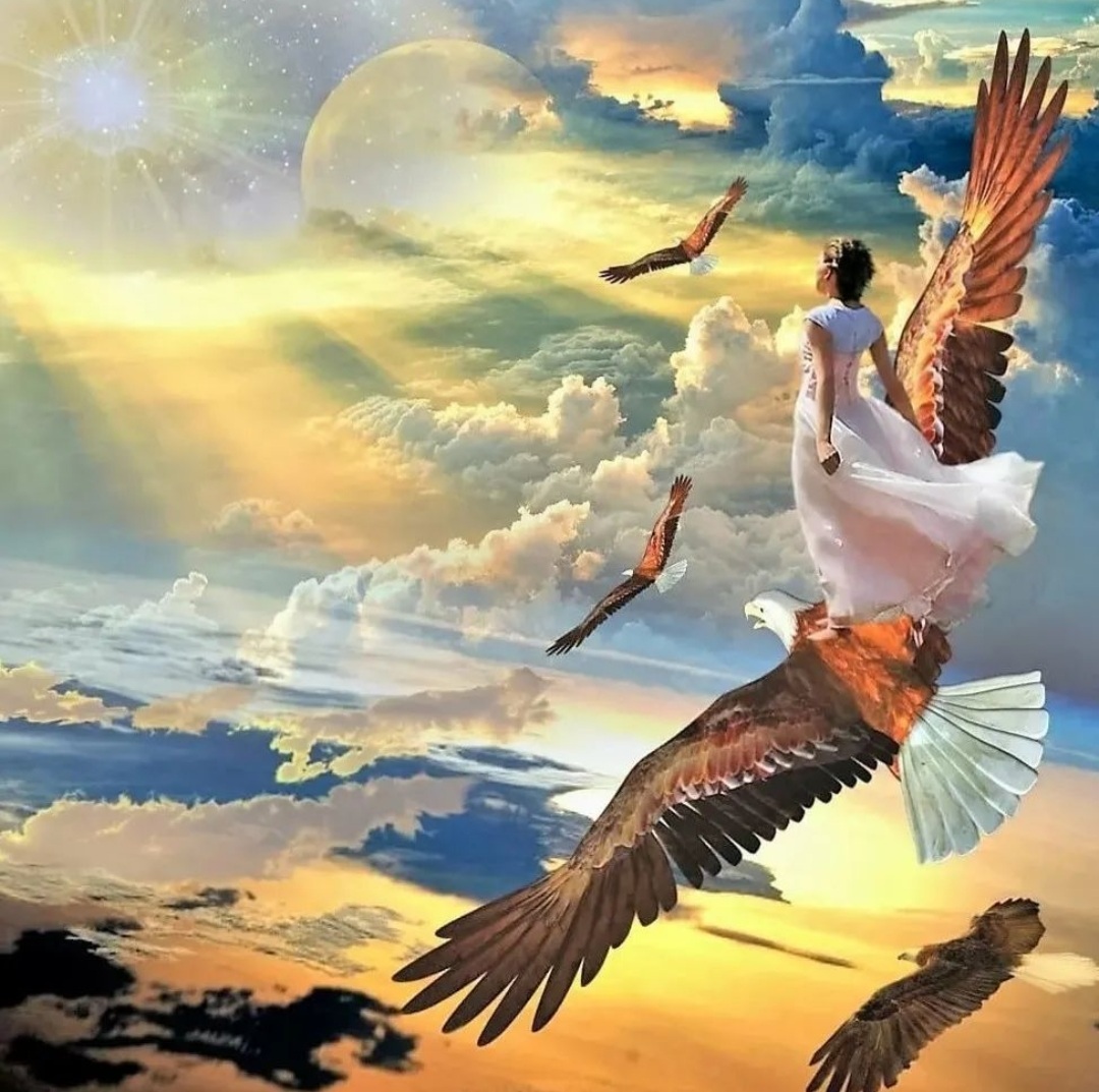 Небо небо расправь мне крылья. Птица души. Летать на крыльях счастья. Полет души. Птица свободы.