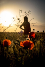 Сердце ёкнет вот и всё