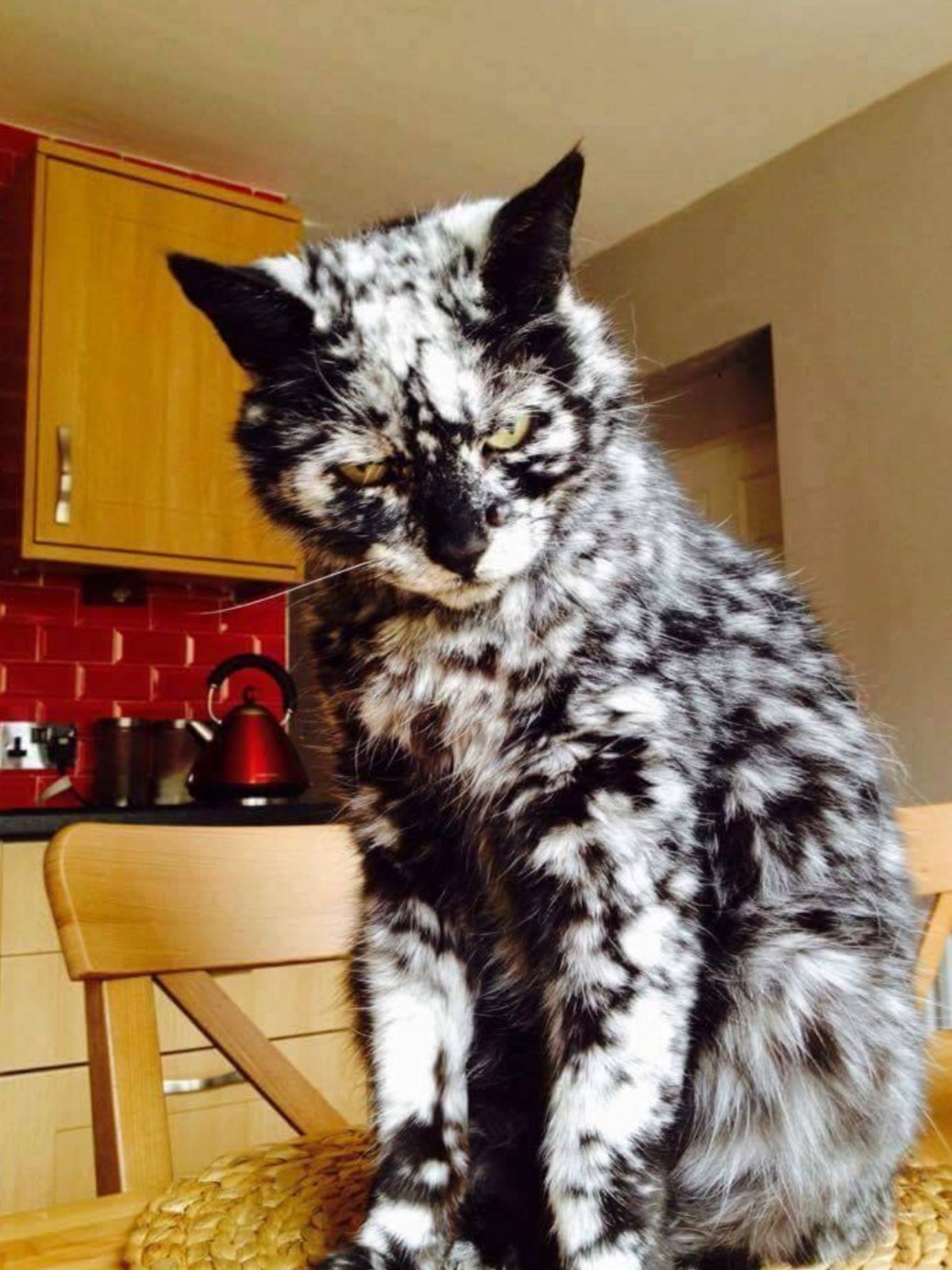 Алкоголь - замечательная вещь! Иногда он заставляе