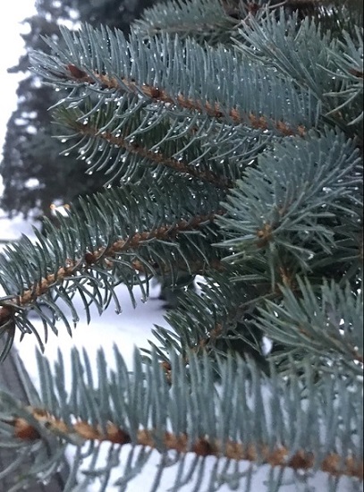 Только раз живем