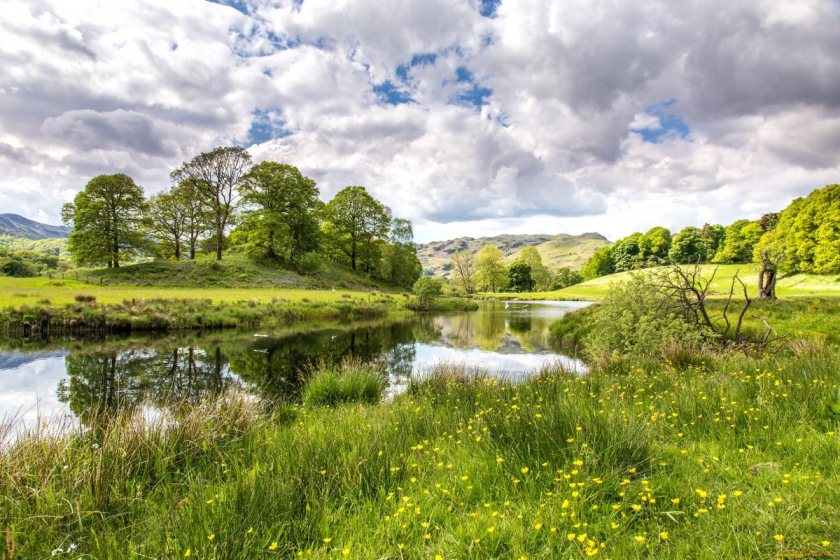 Полевая Россия