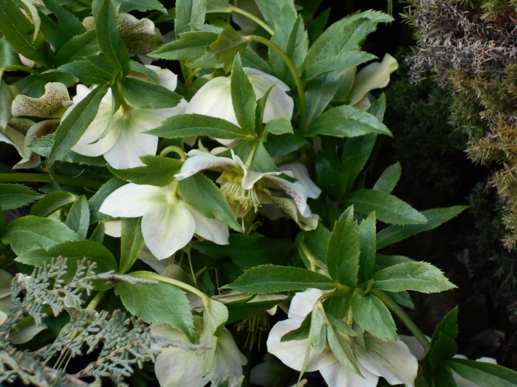 И снова дождь стучит в окно