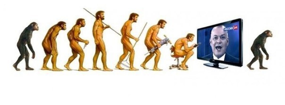 Эволюционирует ли человек. Эволюция Дарвина. Теория Дарвина о эволюции человека. Человек от обезьяны до человека. Эволюция человека до обезьяны.