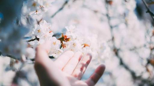 Я на тепло твоё обречена