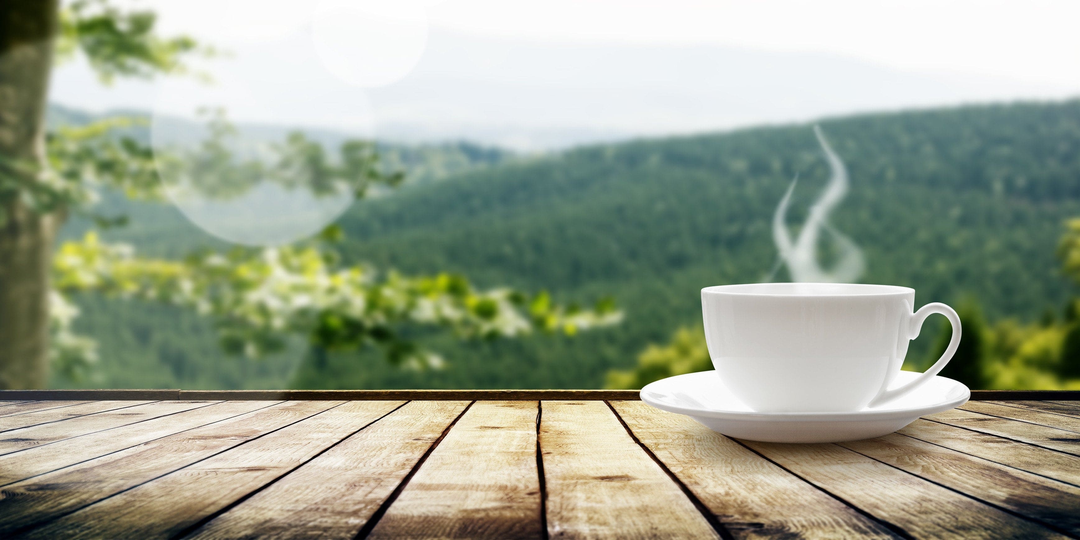 There is coffee in the cup. Чашка кофе. Чашка чая на природе. Кружка кофе на фоне природы. Кофе на природе.