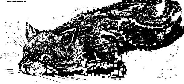 расскажи мне сказку...