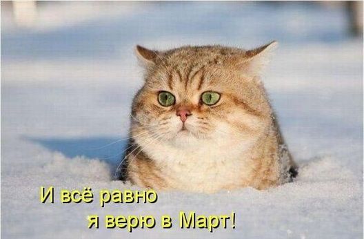 А март шалит
