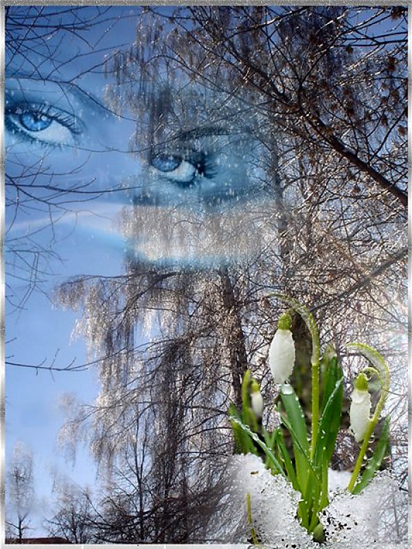 Первоцветы