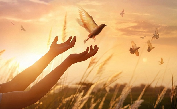 Нет, не может всё исчезнуть 2