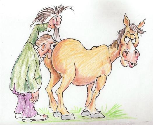 Чёрный конь