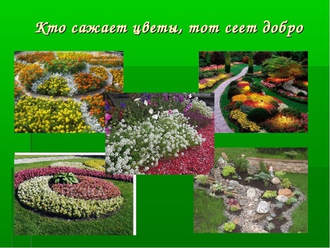 Я садовником родился