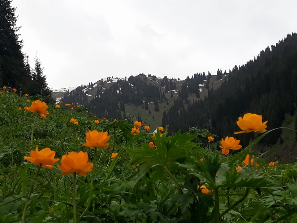 Гора Талгар