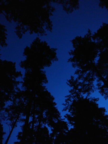 Когда полюбишь ты меня