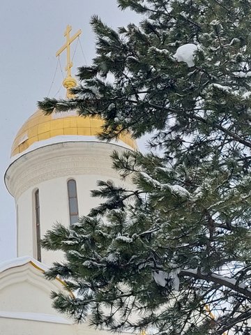 Не надо далеко ходить