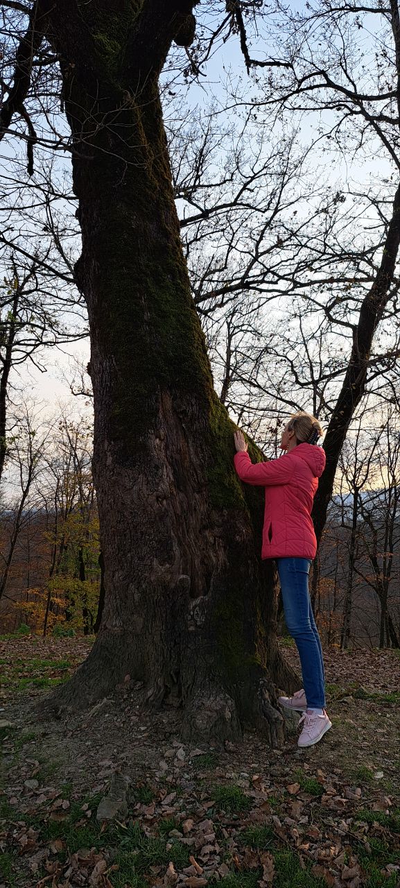 Старец-хранитель