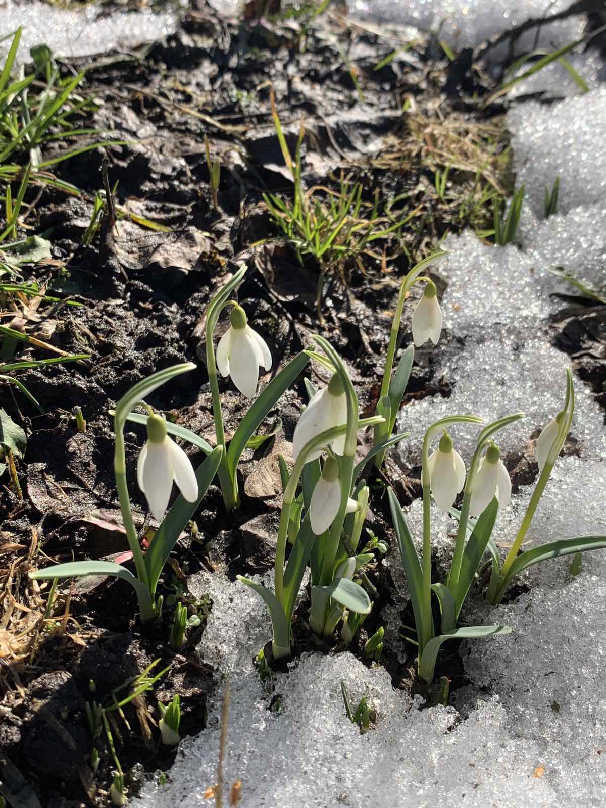 Зима резко меняется