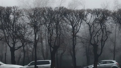 Январь в Алма-Ате